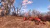 اکانت قانونی Fallout 4 برای PS5 و PS4