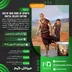 اکانت قانونی  God of War Sons of Sparta Digital Deluxe Edition برای PS5