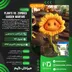 اکانت قانونی Plants vs. Zombies Garden Warfare برای PS5 و PS4