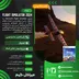 اکانت قانونی Microsoft Flight Simulator 2024- Standard Edition برای PS5