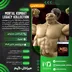 اکانت قانونی Mortal Kombat: Legacy Kollection  برای PS5 و PS4
