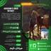 اکانت قانونی Assassin's Creed Odyssey برای PS5 و PS4