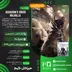 اکانت قانونی Assassin's Creed Valhalla برای PS5 و PS4