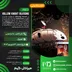 اکانت قانونی Hollow Knight: Silksong برای  PS5 و PS4