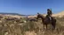 اکانت قانونی Mount & Blade II Bannerlord برای  PS5 و PS4