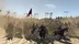 اکانت قانونی Mount & Blade II Bannerlord برای  PS5 و PS4