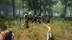 اکانت قانونی THE FOREST برای  PS5 و PS4