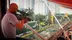 اکانت قانونی HITMAN World of Assassination برای  PS5 و PS4