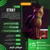 اکانت قانونی Stray برای  PS5 و PS4
