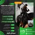 اکانت قانونی Kingdom Come: Deliverance II برای  PS5
