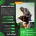 اکانت قانونی Assassin's Creed Mirage  برای PS5 و PS4