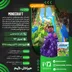 اکانت قانونی Minecraft برای  PS5 و PS4
