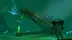 اکانت قانونی Subnautica برای  PS5 و PS4
